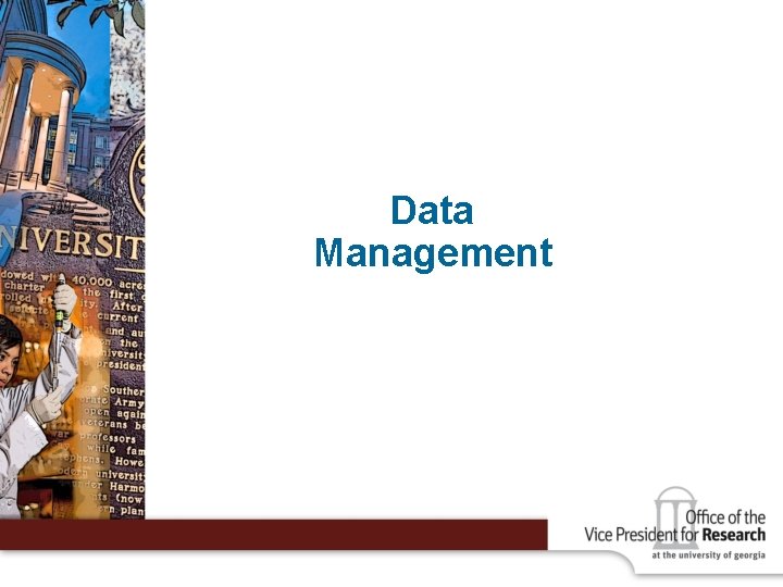 Data Management 