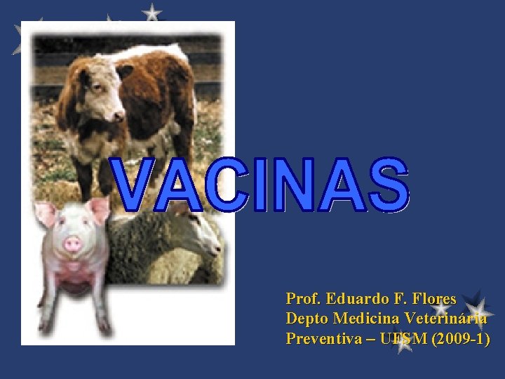 Prof. Eduardo F. Flores Depto Medicina Veterinária Preventiva – UFSM (2009 -1) 