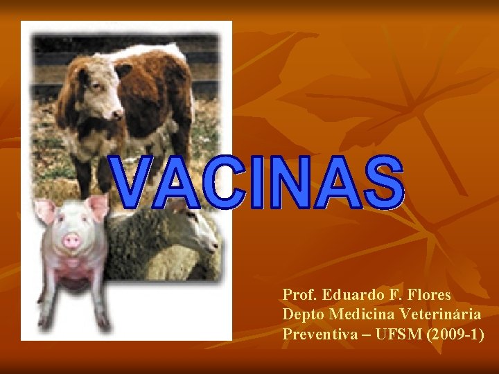 Prof. Eduardo F. Flores Depto Medicina Veterinária Preventiva – UFSM (2009 -1) 