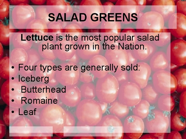 SALAD GREENS Lettuce is the most popular salad plant grown in the Nation. •