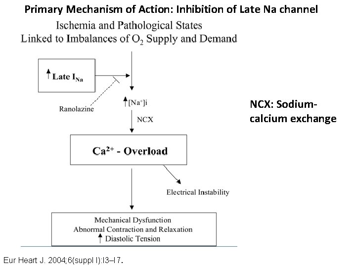 Primary Mechanism of Action: Inhibition of Late Na channel NCX: Sodiumcalcium exchange Eur Heart
