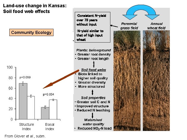 Land-use change in Kansas: Soil food web effects Community Ecology Structure Index Basal Index