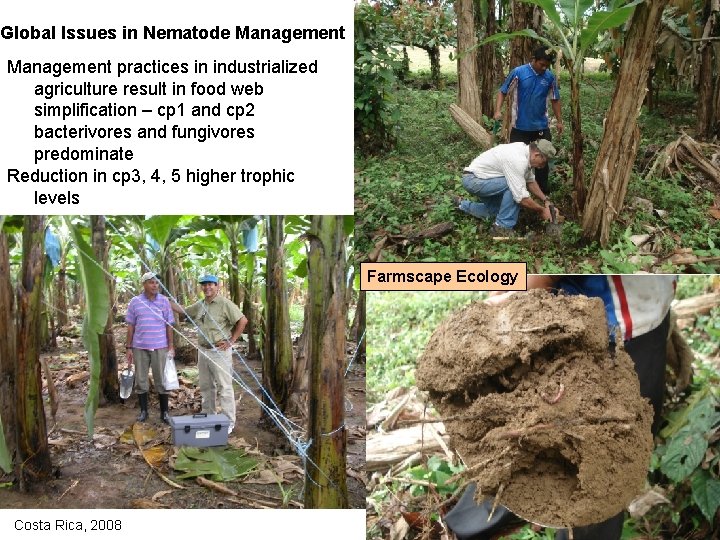 Global Issues in Nematode Management practices in industrialized agriculture result in food web simplification