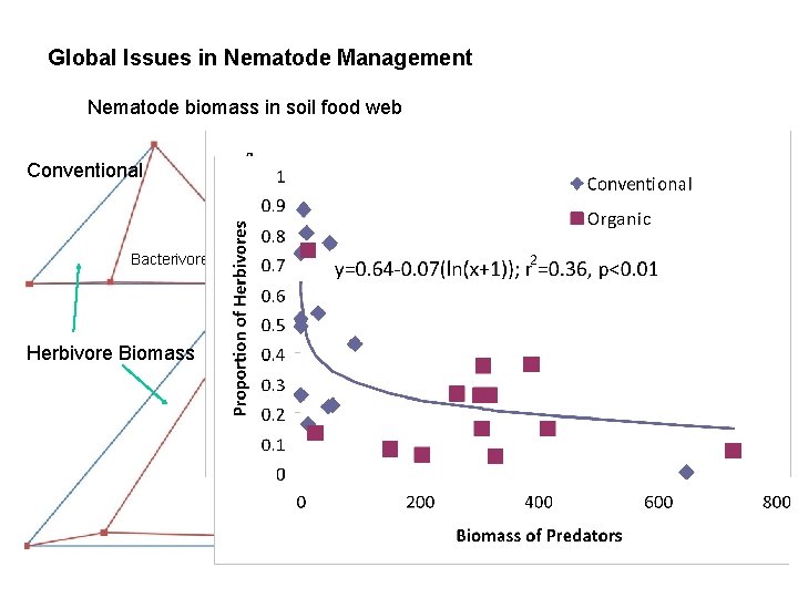 Global Issues in Nematode Management Nematode biomass in soil food web Conventional Bacterivore Biomass