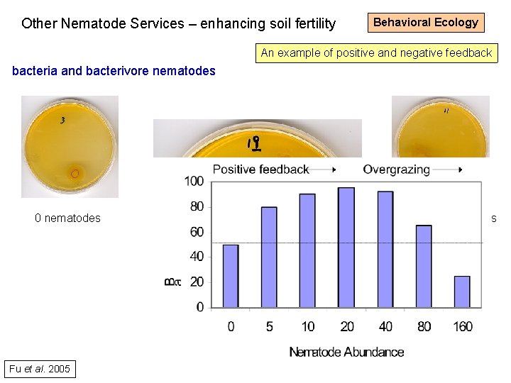 Other Nematode Services – enhancing soil fertility Behavioral Ecology An example of positive and
