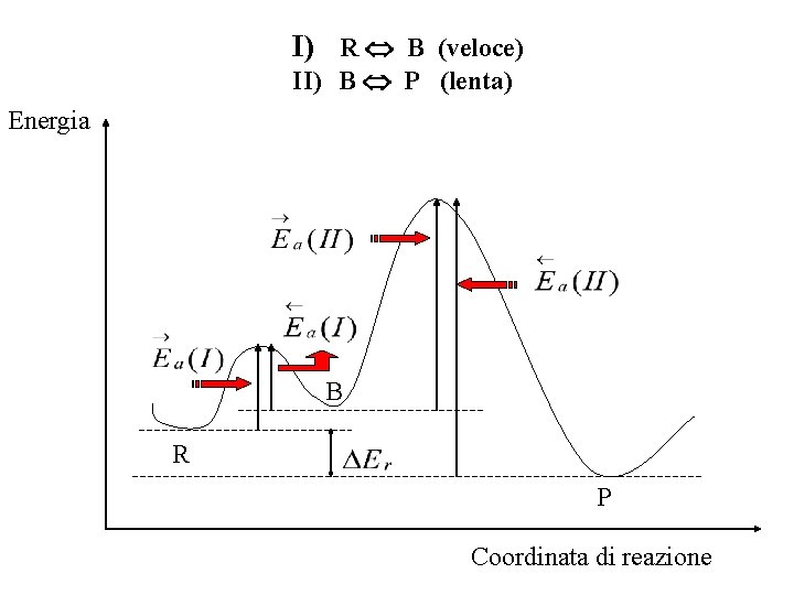 I) R B (veloce) II) B P (lenta) Energia B R P Coordinata di I) R B (veloce) II) B P (lenta) Energia B R P Coordinata di