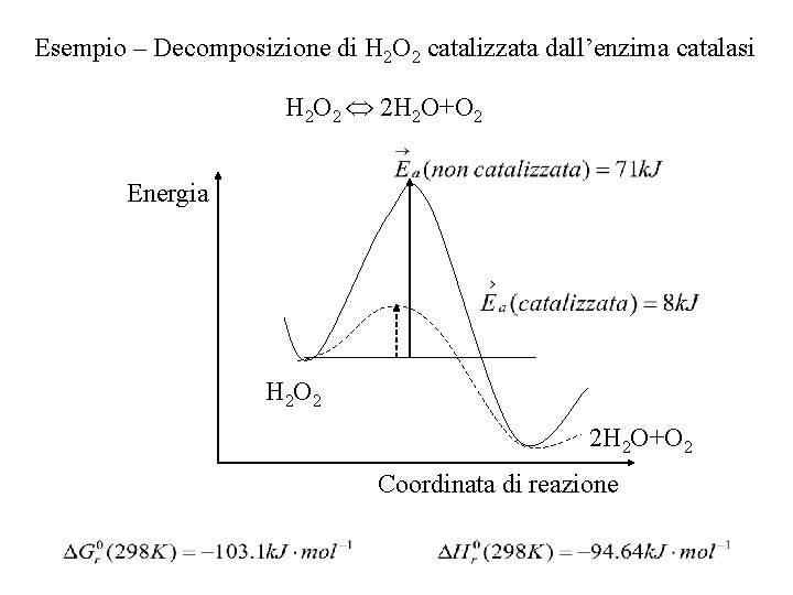Esempio – Decomposizione di H 2 O 2 catalizzata dall’enzima catalasi H 2 O Esempio – Decomposizione di H 2 O 2 catalizzata dall’enzima catalasi H 2 O