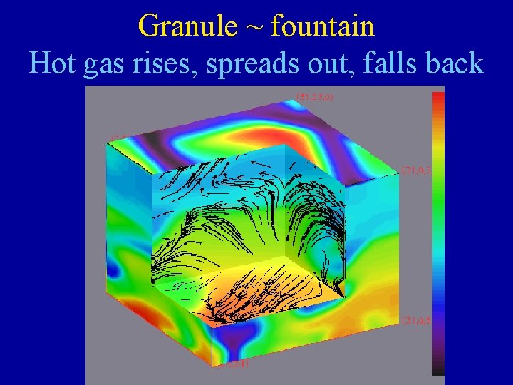 Granule ~ fountain Hot gas rises, spreads out, falls back 
