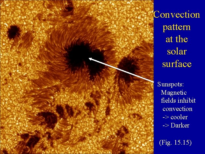 Convection pattern at the solar surface Sunspots: Magnetic fields inhibit convection -> cooler ->