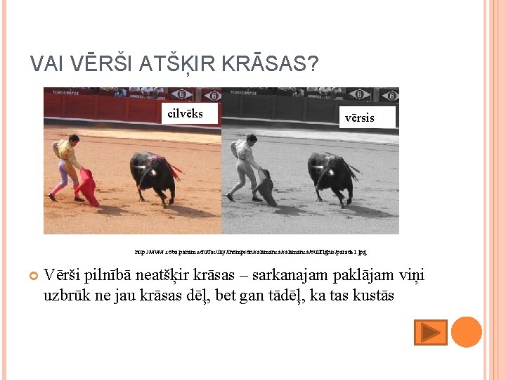 VAI VĒRŠI ATŠĶIR KRĀSAS? cilvēks vērsis http: //www. coba. panam. edu/faculty/thompson/salamanca/bullfights/parade 1. jpg Vērši