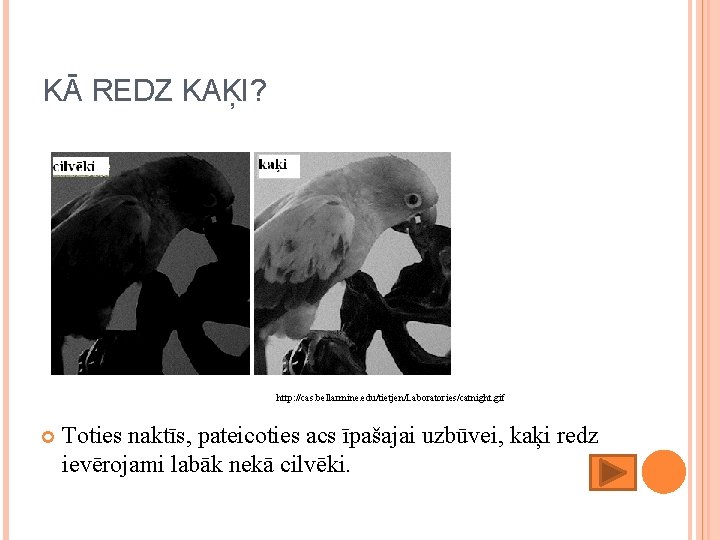 KĀ REDZ KAĶI? http: //cas. bellarmine. edu/tietjen/Laboratories/catnight. gif Toties naktīs, pateicoties acs īpašajai uzbūvei,