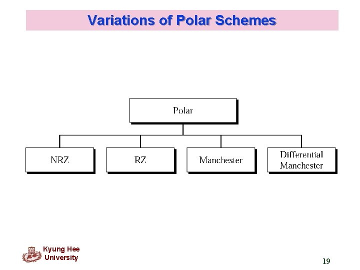 Variations of Polar Schemes Kyung Hee University 19 