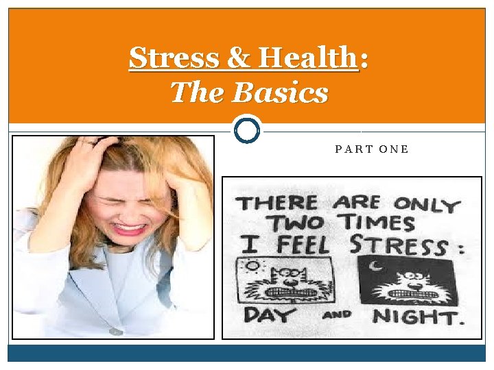 Stress & Health: The Basics PART ONE 