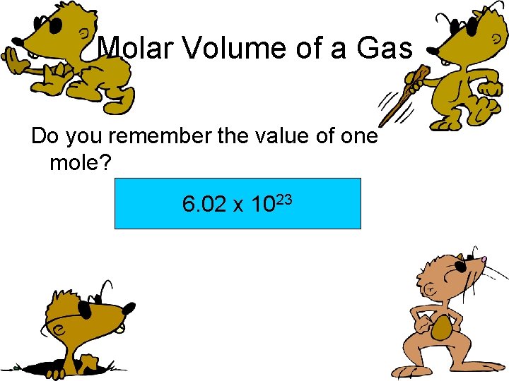 Molar Volume of a Gas Do you remember the value of one mole? 6.