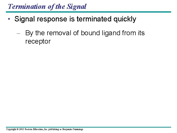 Termination of the Signal • Signal response is terminated quickly – By the removal