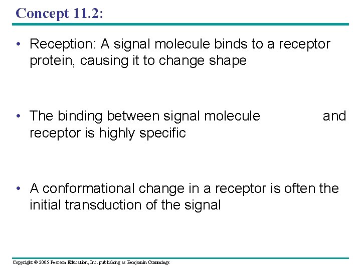 Concept 11. 2: • Reception: A signal molecule binds to a receptor protein, causing
