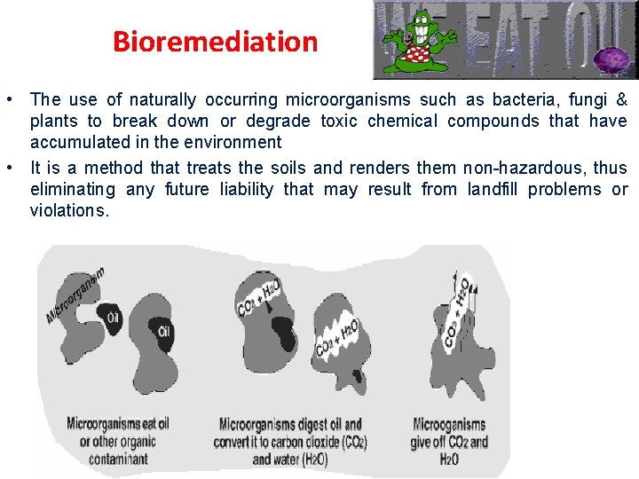 Bioremediation • The use of naturally occurring microorganisms such as bacteria, fungi & plants Bioremediation • The use of naturally occurring microorganisms such as bacteria, fungi & plants