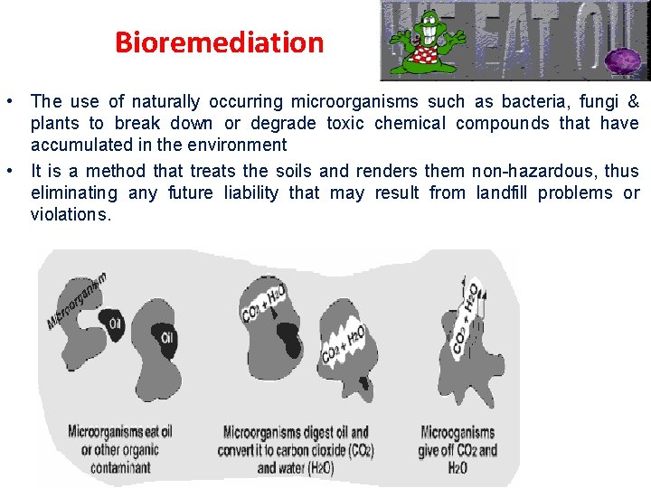 Bioremediation • The use of naturally occurring microorganisms such as bacteria, fungi & plants