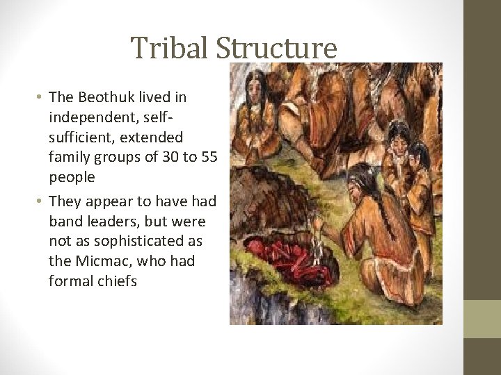 Tribal Structure • The Beothuk lived in independent, selfsufficient, extended family groups of 30