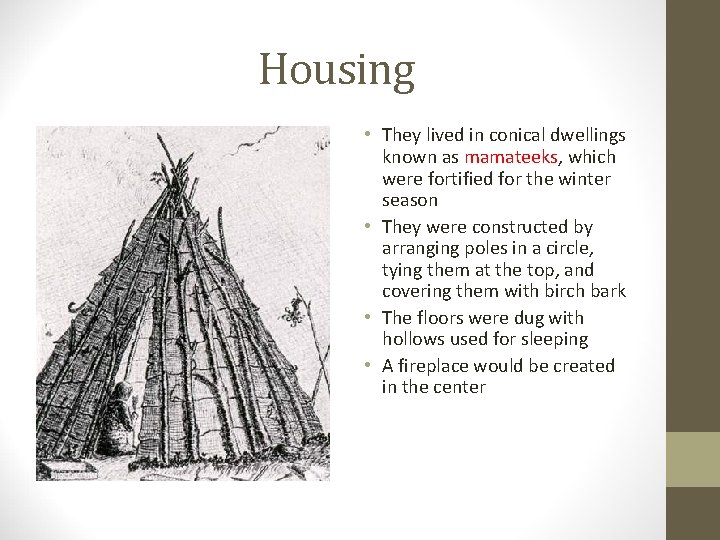 Housing • They lived in conical dwellings known as mamateeks, which were fortified for