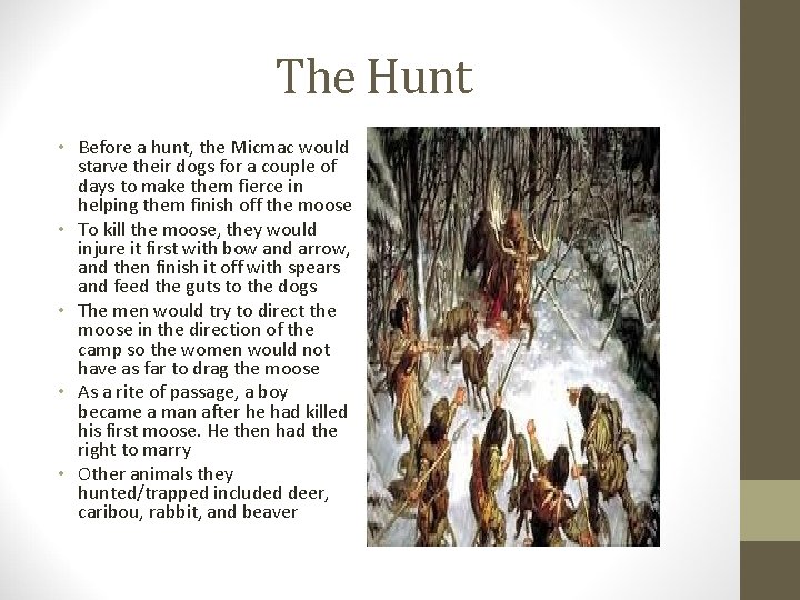The Hunt • Before a hunt, the Micmac would starve their dogs for a