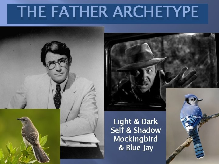 THE FATHER ARCHETYPE Light & Dark Self & Shadow Mockingbird & Blue Jay 