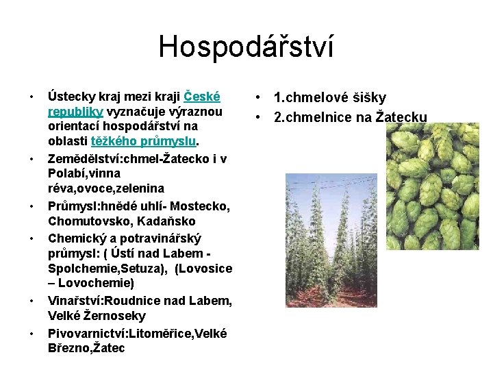 Hospodářství • • • Ústecky kraj mezi kraji České republiky vyznačuje výraznou orientací hospodářství