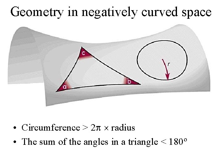 Geometry in negatively curved space • Circumference > 2 radius • The sum of
