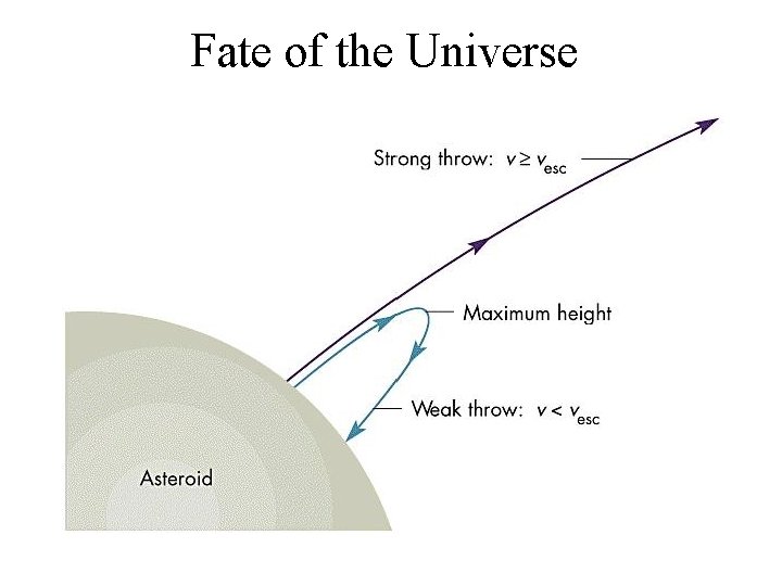 Fate of the Universe 