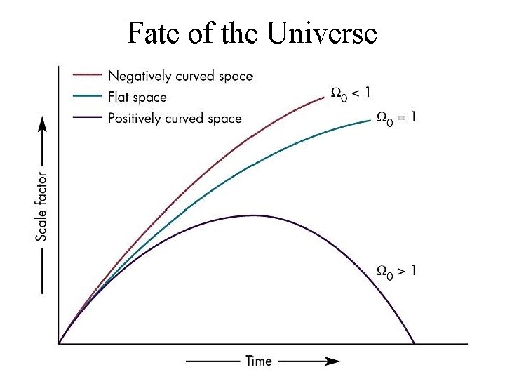 Fate of the Universe 