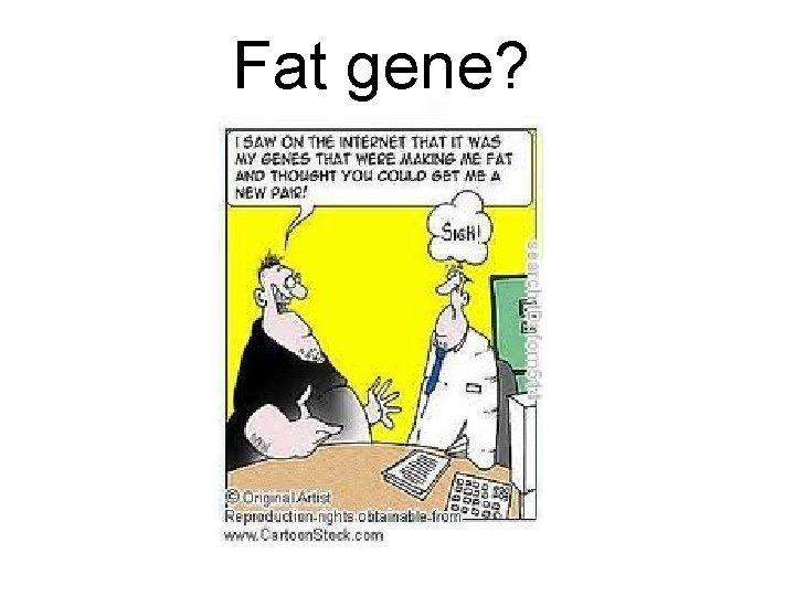 Fat gene? 