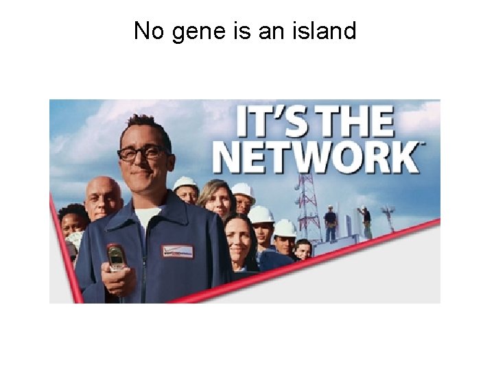 No gene is an island 