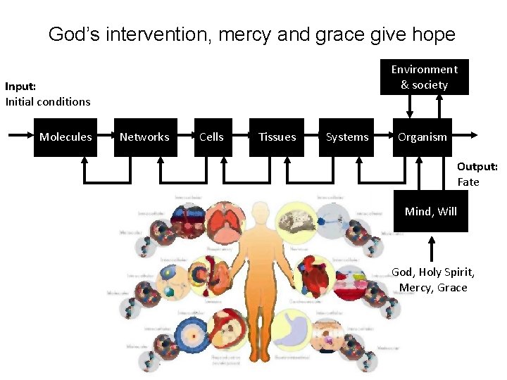 God’s intervention, mercy and grace give hope Environment & society Input: Initial conditions Molecules