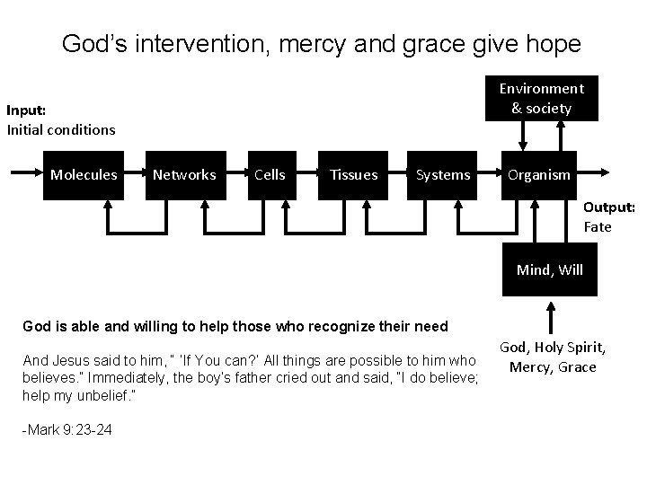 God’s intervention, mercy and grace give hope Environment & society Input: Initial conditions Molecules