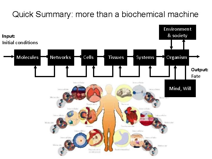 Quick Summary: more than a biochemical machine Environment & society Input: Initial conditions Molecules