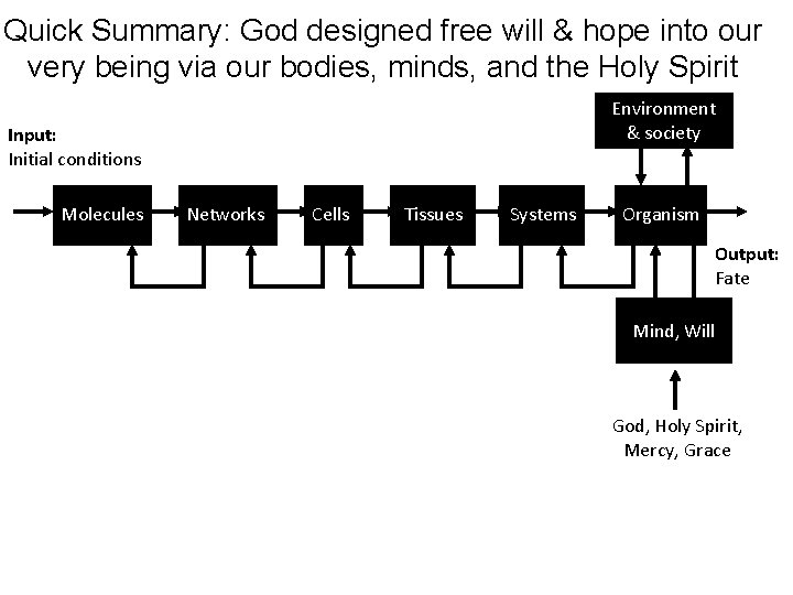 Quick Summary: God designed free will & hope into our very being via our