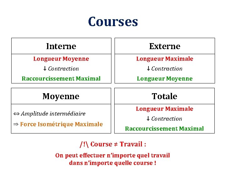 Courses Interne Externe Longueur Moyenne Longueur Maximale ↓ Contraction Raccourcissement Maximal Longueur Moyenne Totale