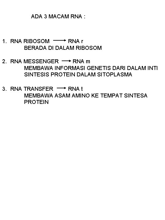 ADA 3 MACAM RNA : 1. RNA RIBOSOM RNA r BERADA DI DALAM RIBOSOM