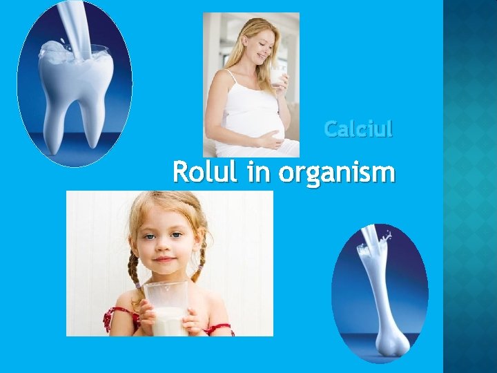 Calciul Rolul in organism Calciul Rolul in organism