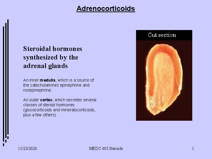Adrenocorticoids Steroidal hormones synthesized by the adrenal glands An inner medulla, which is a