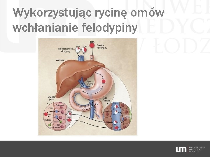 Wykorzystując rycinę omów wchłanianie felodypiny 