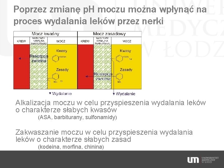 Poprzez zmianę p. H moczu można wpłynąć na proces wydalania leków przez nerki Alkalizacja