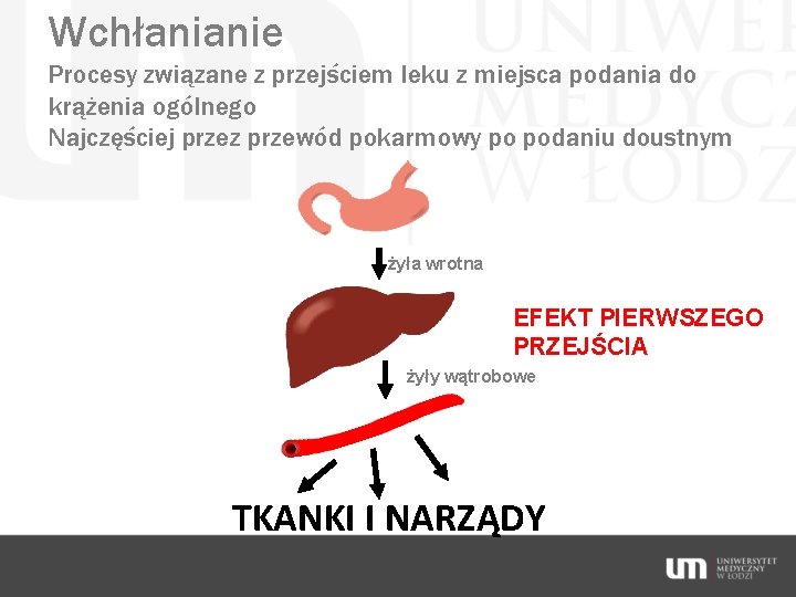 Wchłanianie Procesy związane z przejściem leku z miejsca podania do krążenia ogólnego Najczęściej przez