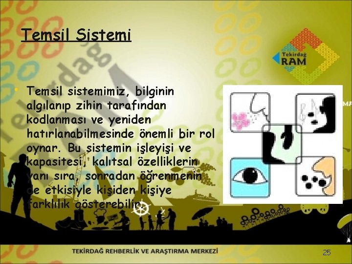 Temsil Sistemi • Temsil sistemimiz, bilginin algılanıp zihin tarafından kodlanması ve yeniden hatırlanabilmesinde önemli