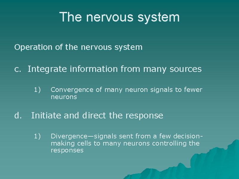 The nervous system Operation of the nervous system c. Integrate information from many sources