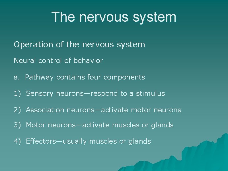 The nervous system Operation of the nervous system Neural control of behavior a. Pathway