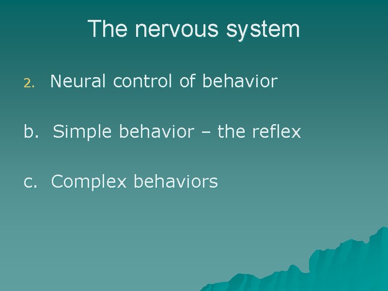 The nervous system 2. Neural control of behavior b. Simple behavior – the reflex