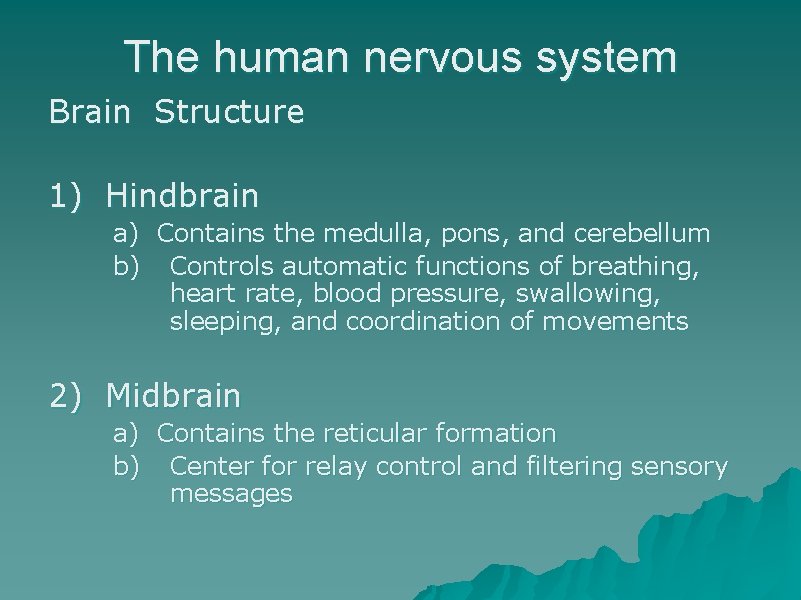 The human nervous system Brain Structure 1) Hindbrain a) Contains the medulla, pons, and