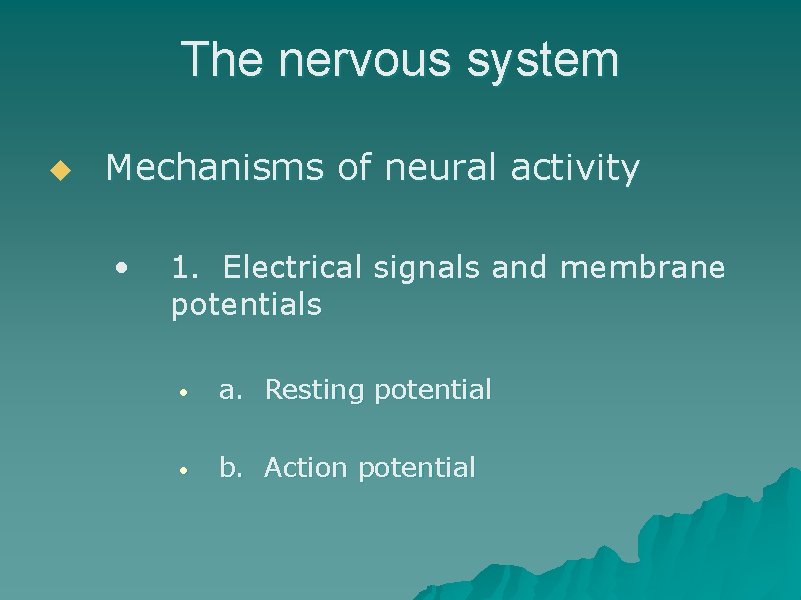 The nervous system u Mechanisms of neural activity • 1. Electrical signals and membrane