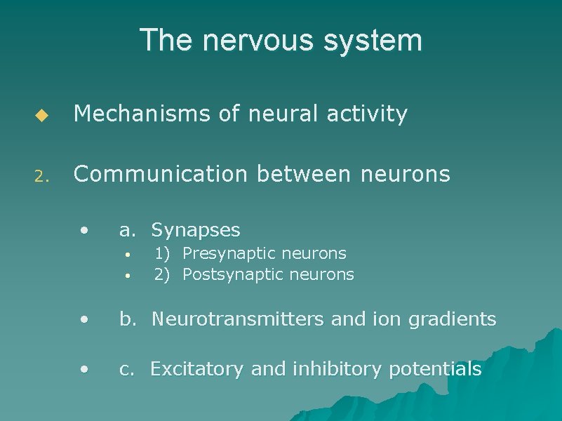 The nervous system u Mechanisms of neural activity 2. Communication between neurons • a.